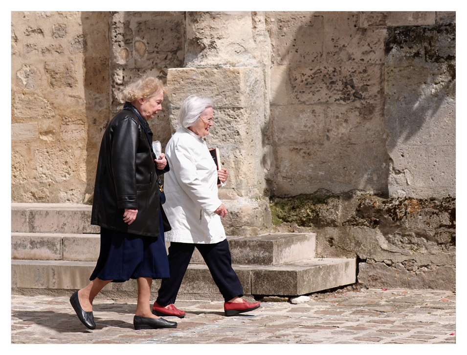 companions on the journey