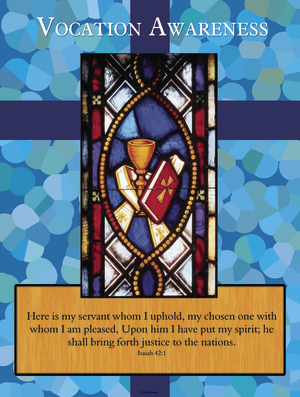 National Vocaction Awareness 2017 B