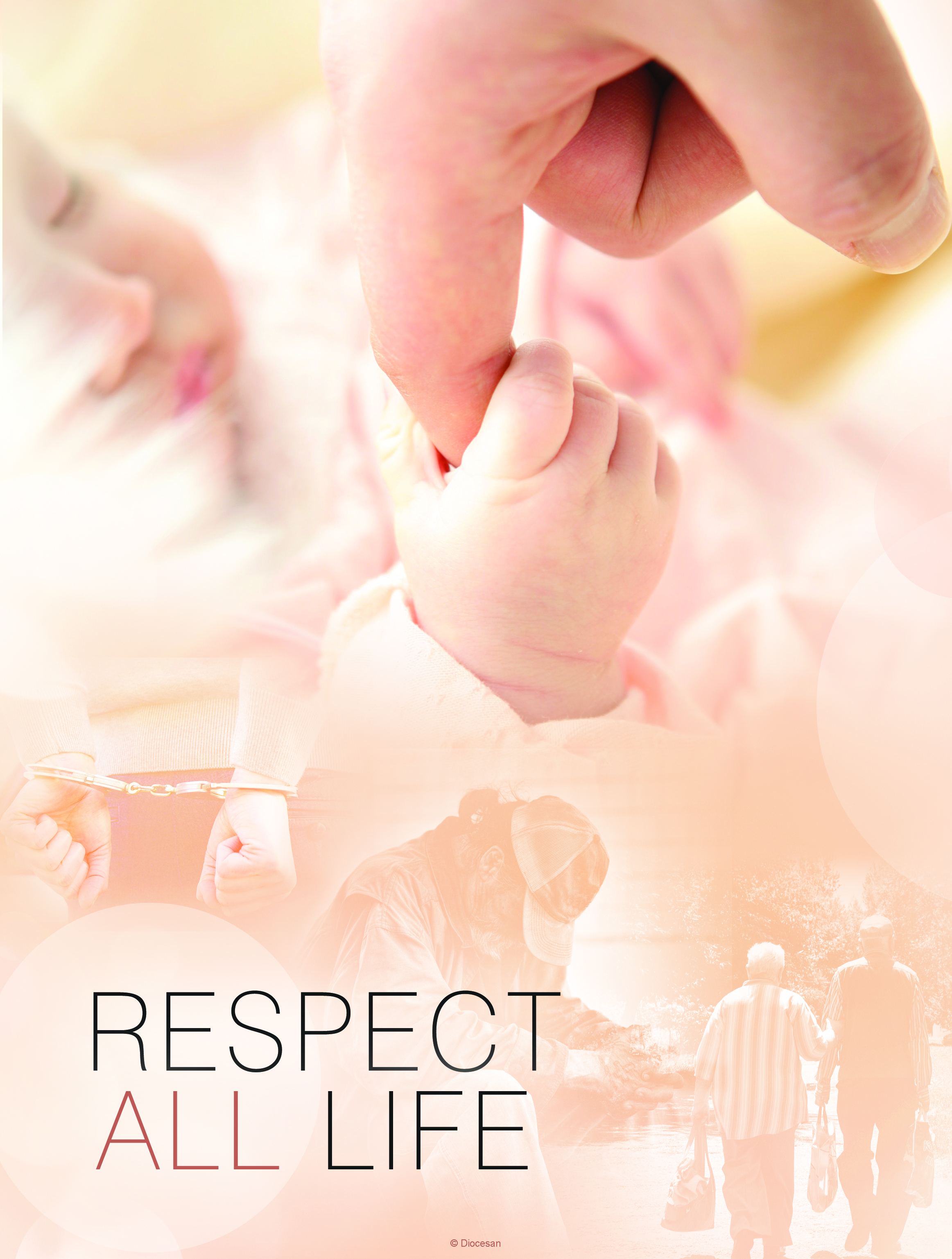 Respect Life 2017 D 1 Respect Life 2017 D