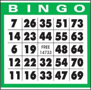 Bingo_3