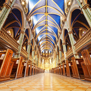 Archdiocese & Diocese Specific