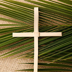 Palm Sunday - Cycle A