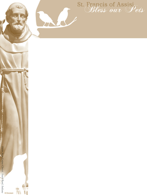 St. Francis Statue Wrapper