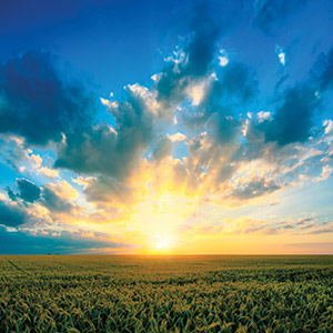 Exaltation of the Cross