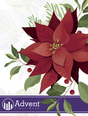 Advent Poinsettia Week 1