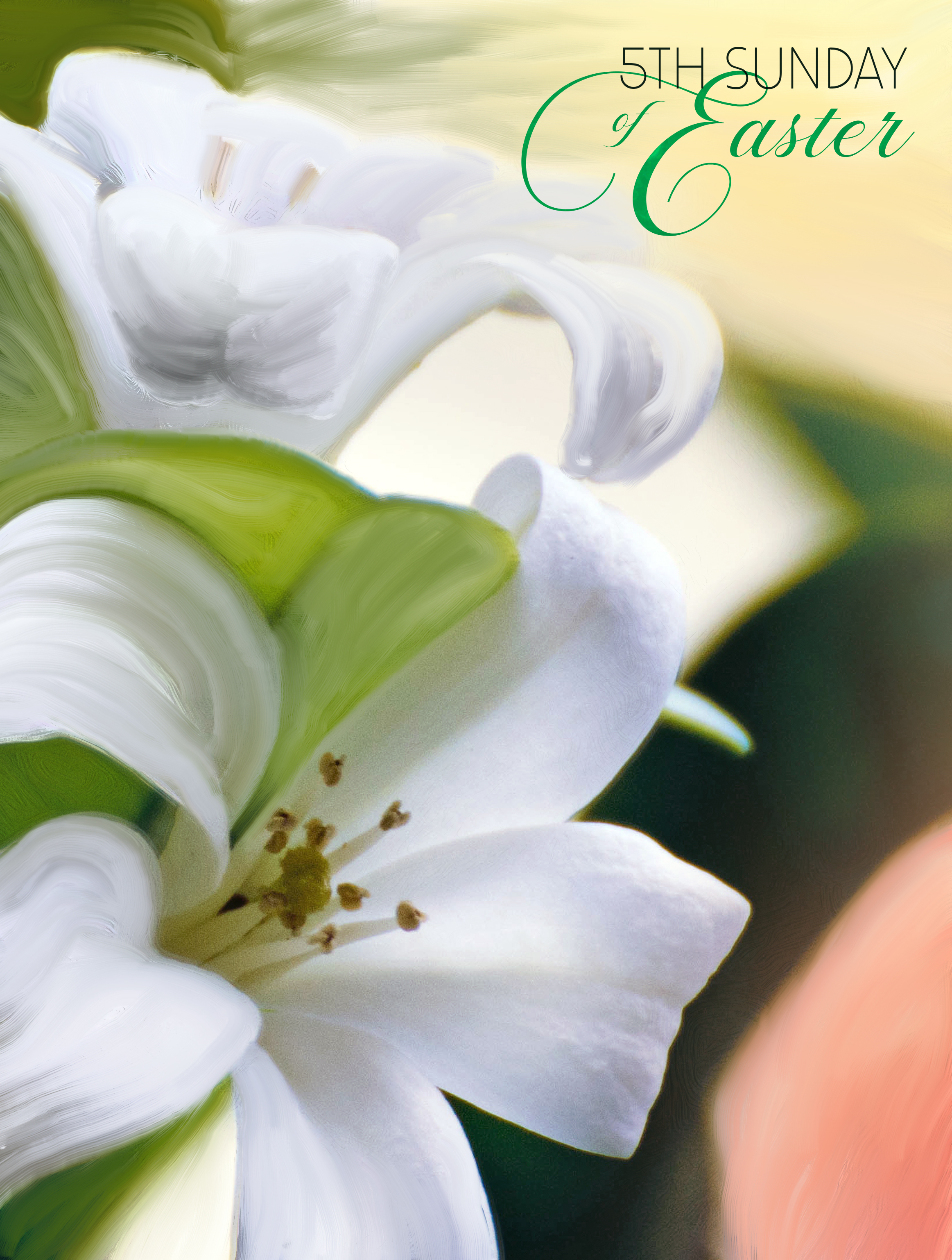 5th Sunday - Lily 1 5th Sunday - Lily