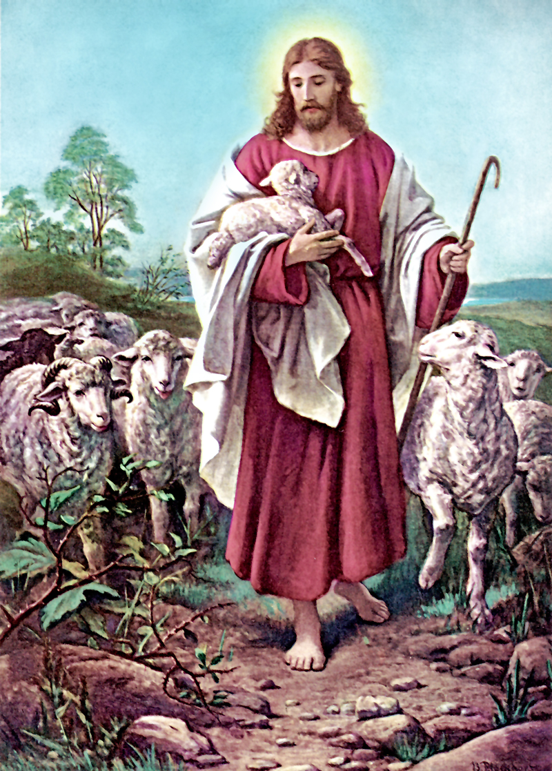 Good_Shepherd