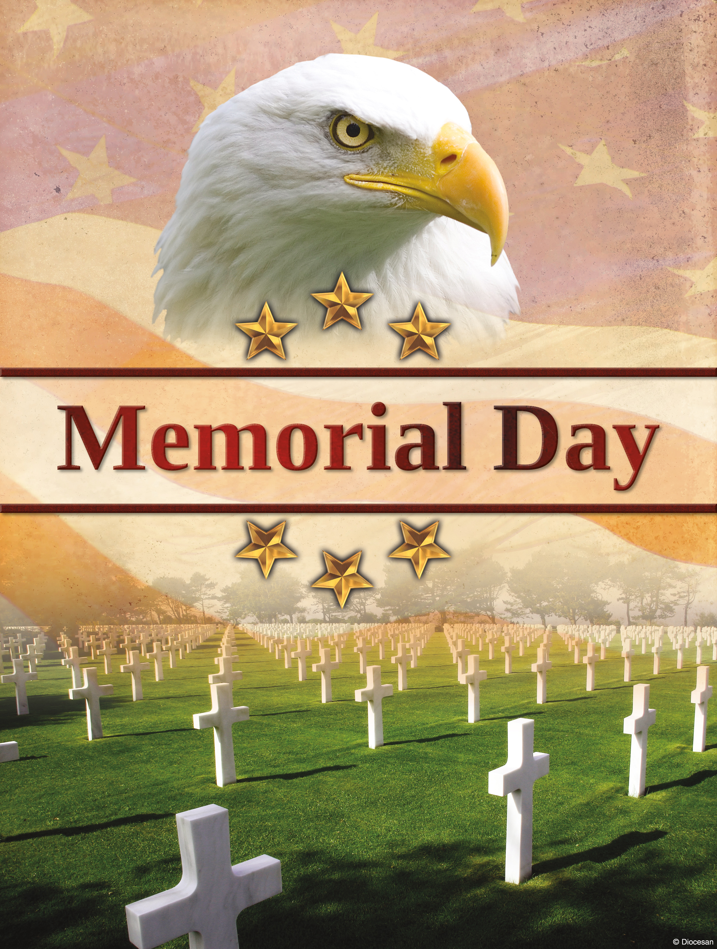 Memorial Day Eagle 1 Memorial Day Eagle