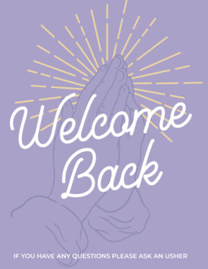 Welcome Back - Purple