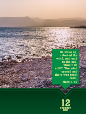 12th Sunday of Ordinary Time - Scenic