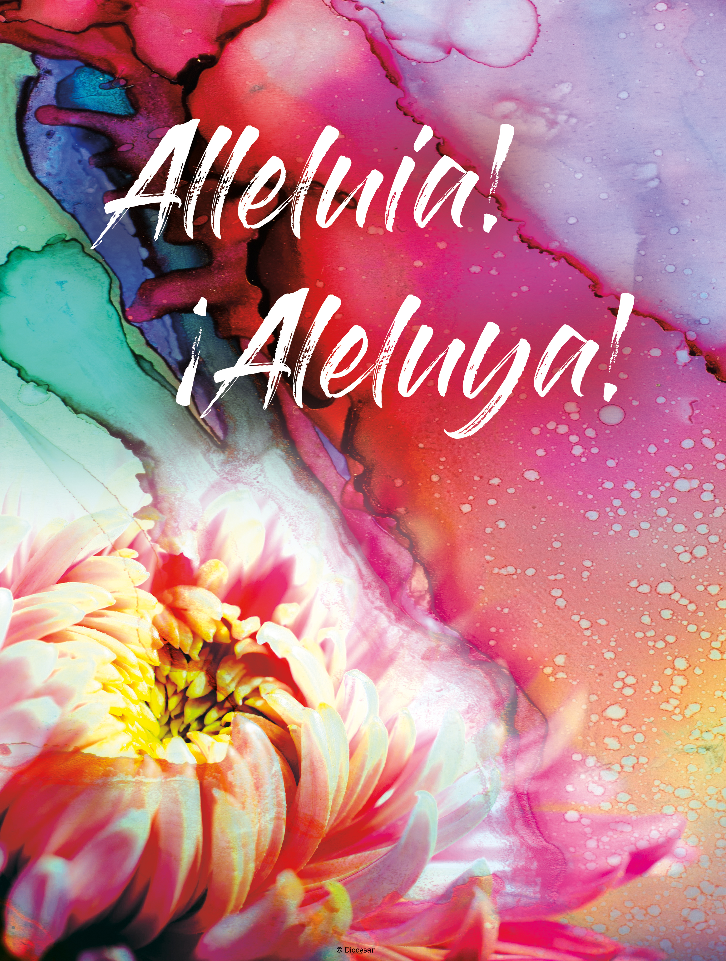 Alleluia! - Bilingual 1 Alleluia! - Bilingual