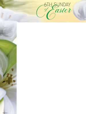 6th Sunday - Lily - Wrapper