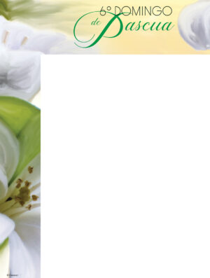 6th Sunday - Lily - Spanish Wrapper