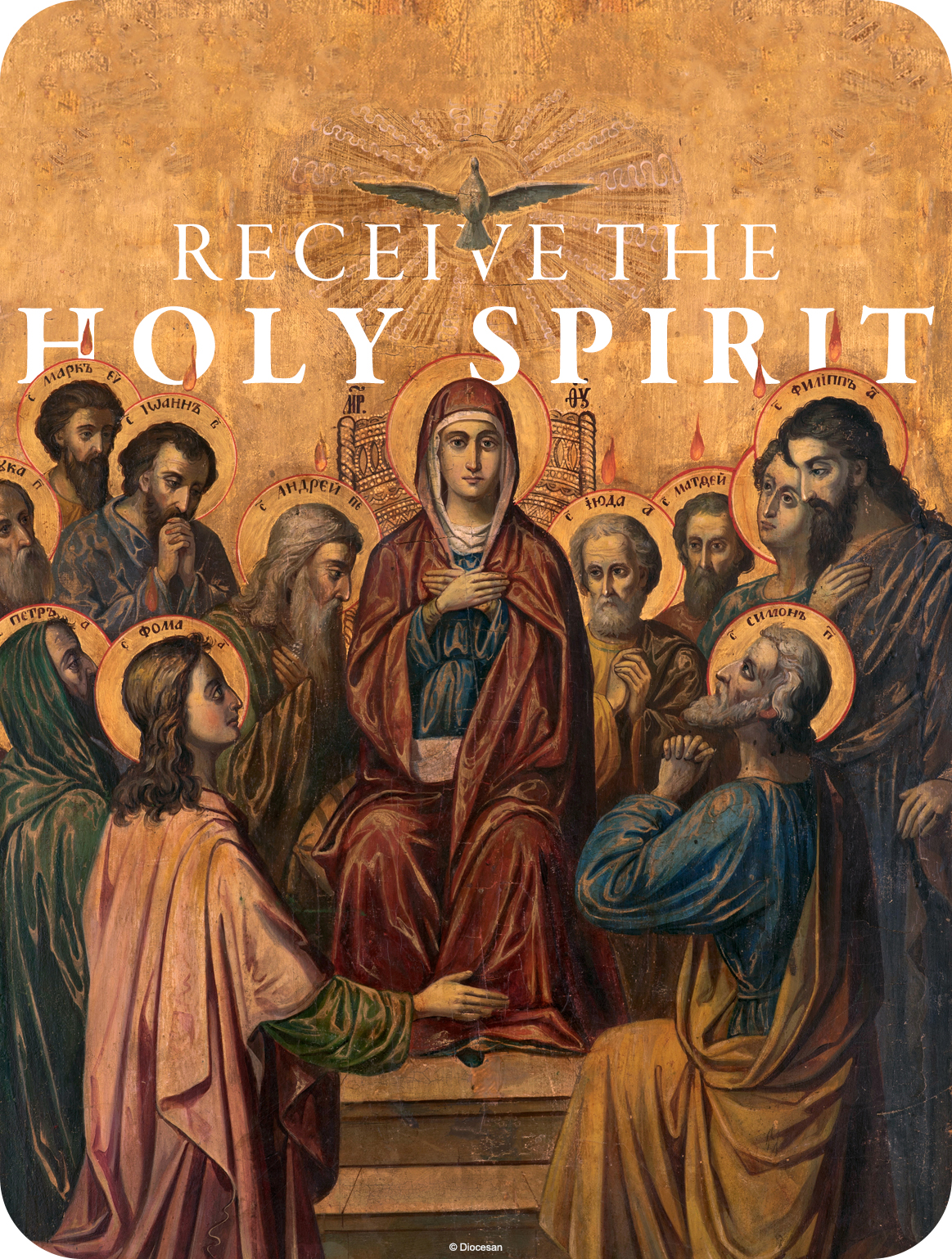 24736_c08d943279729f2010dabf4656ee550c