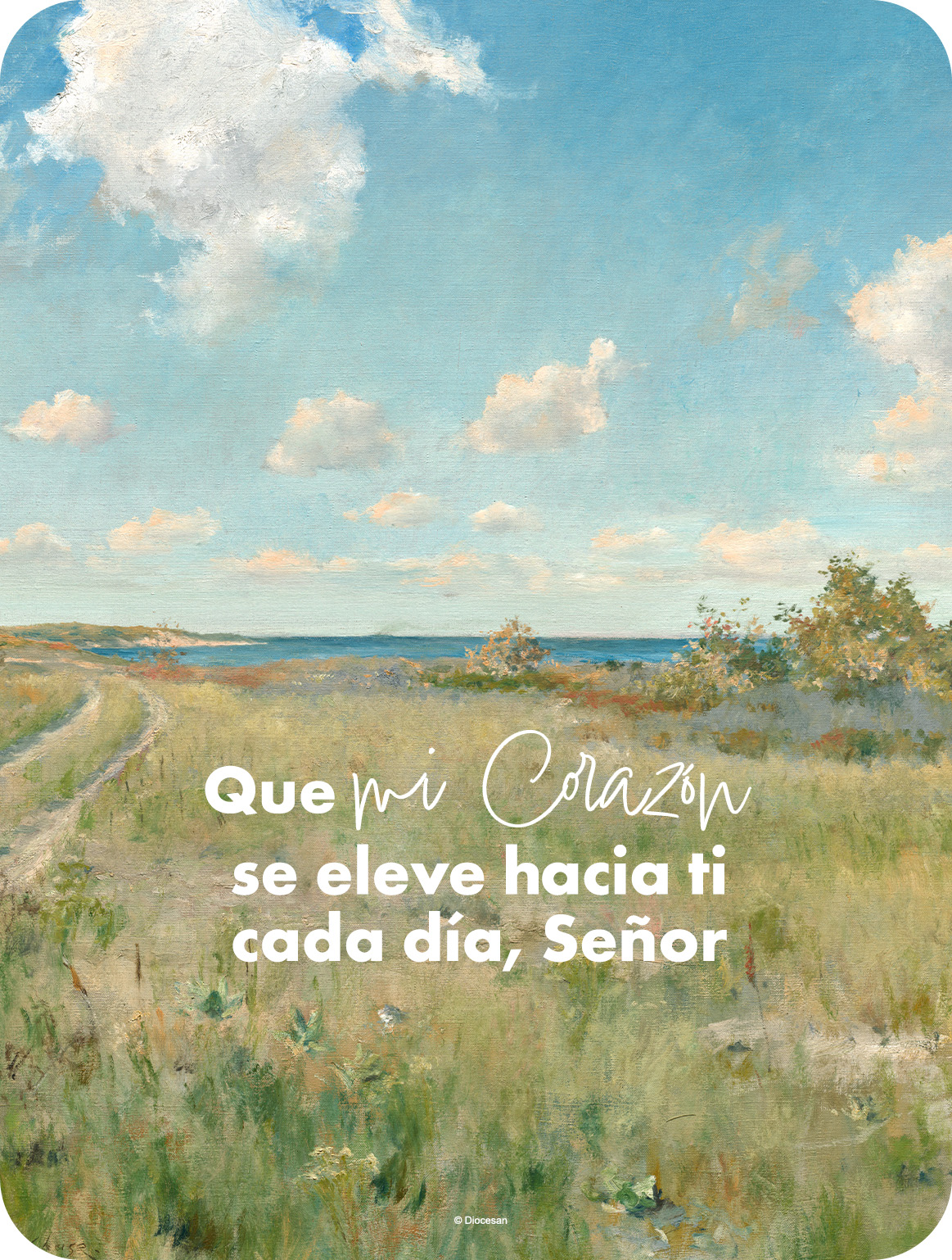 24896_5d4d6a2c6768bafe21f4a8a644e3c2e3