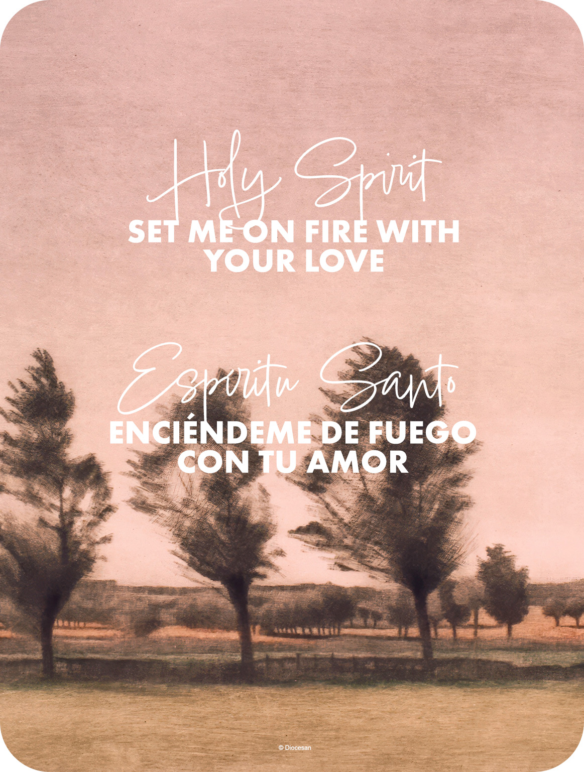 24913_35461fb6b74a13ed95a6319570a0dee2