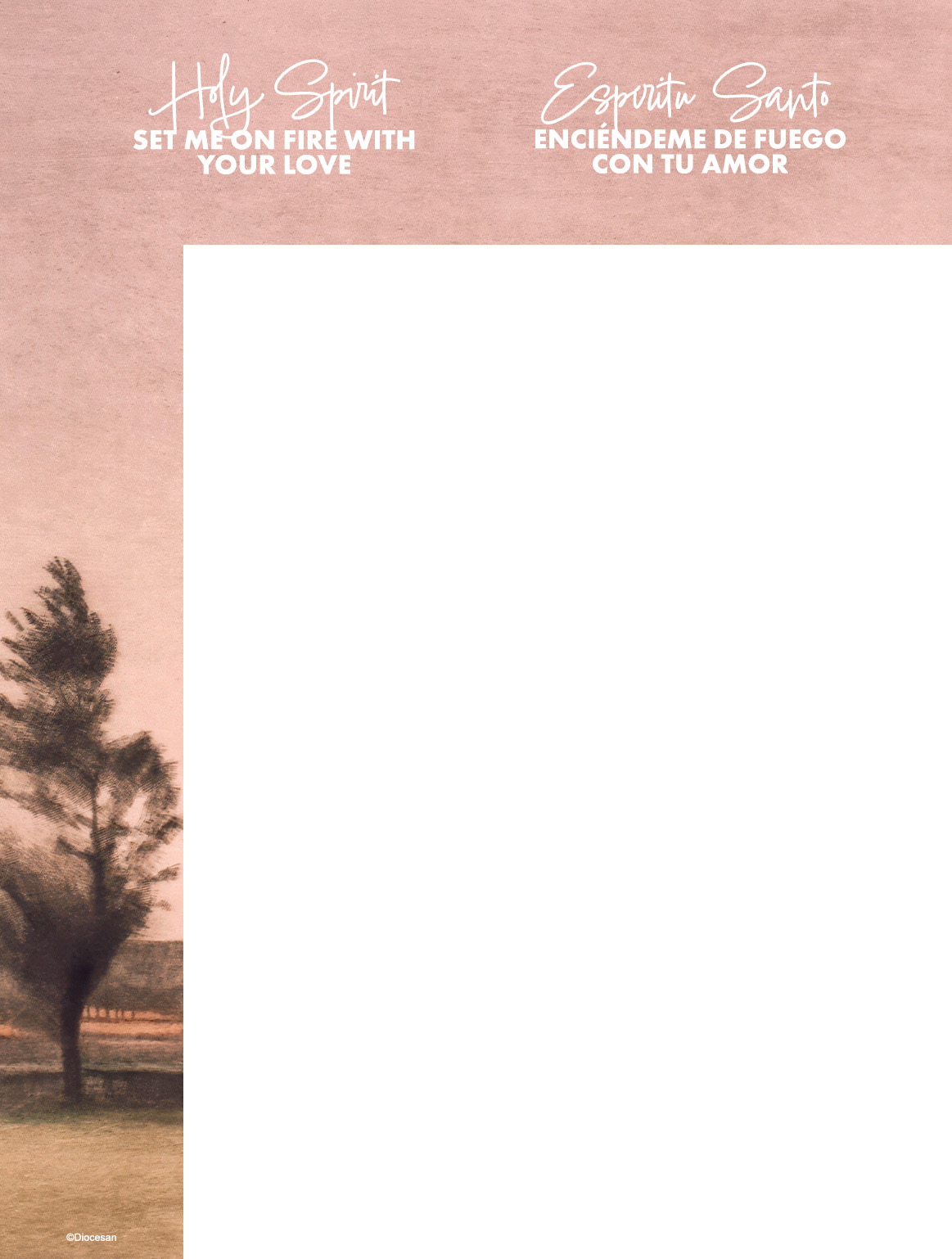 24916_fe494c0f5d5751b6cda478bd1d3f7473