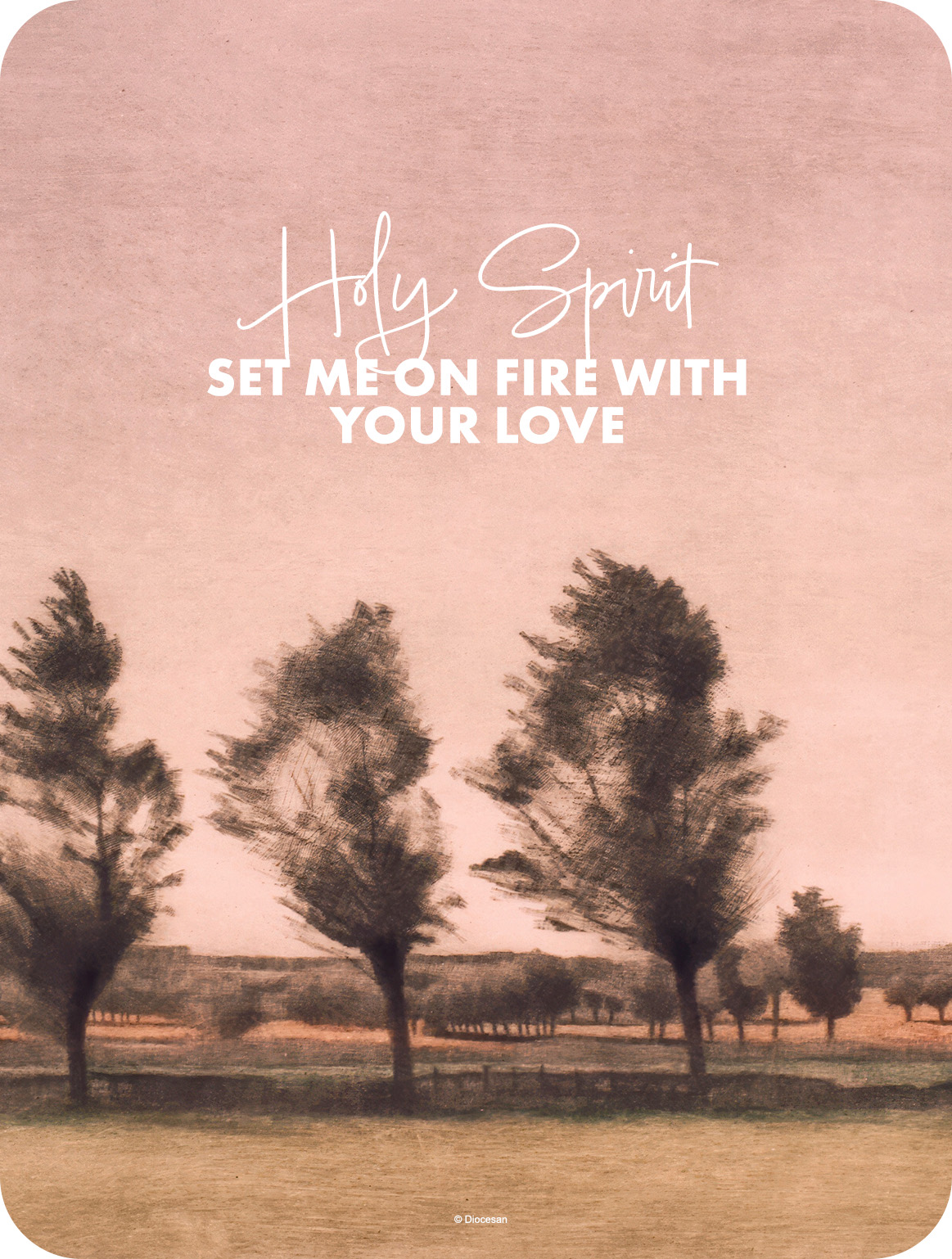 24917_6c866c61e650819464633ea411a7d515