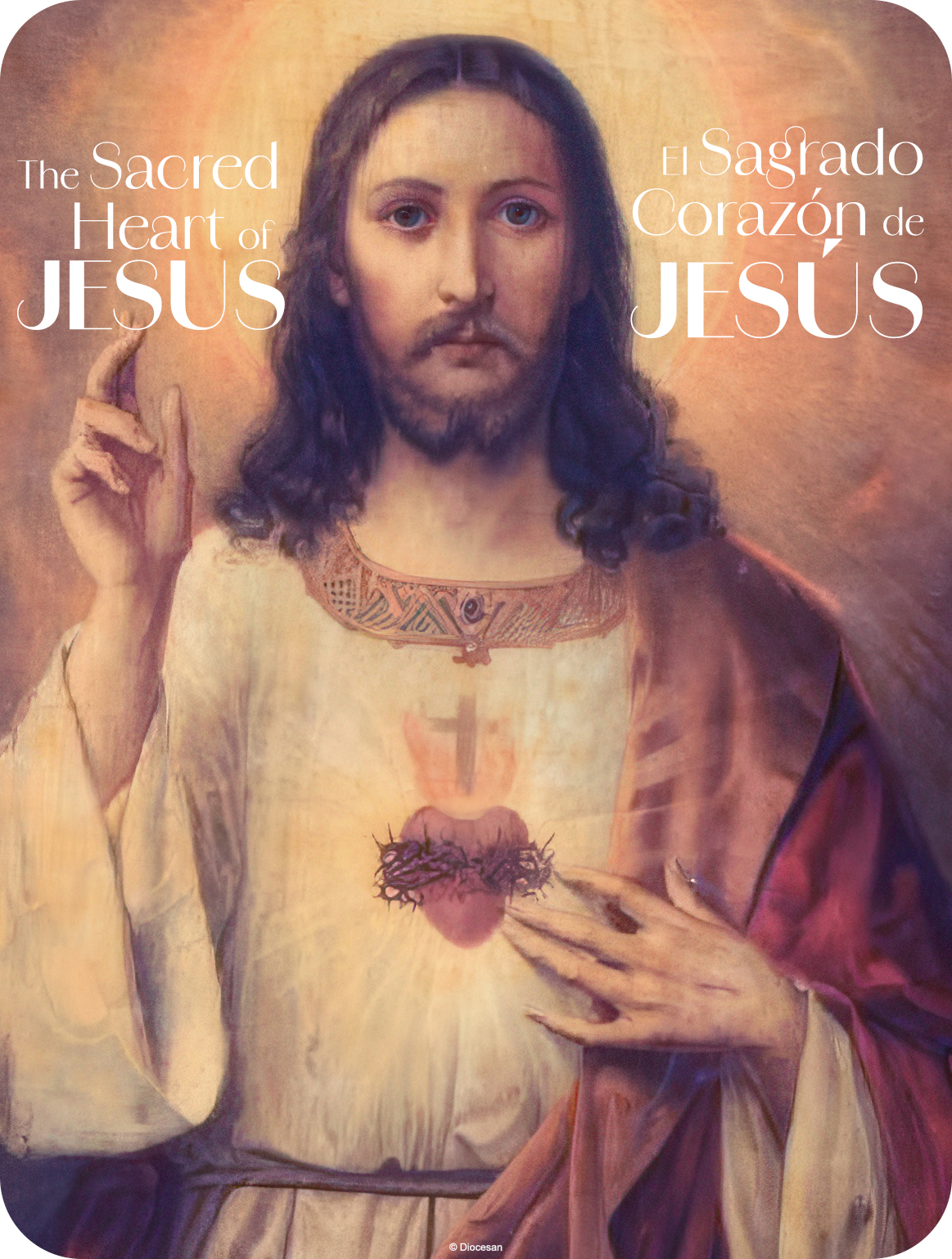 25321_cd0973cb0be5535975ac3201dcb545bd