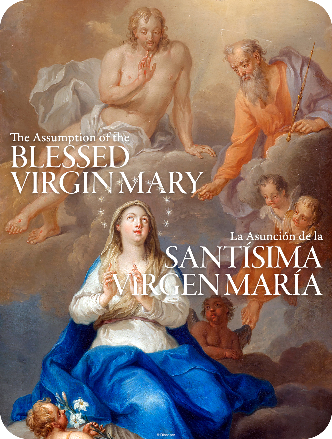 25809_b2e1a58d3a9953bcbc5ae24959214cf4