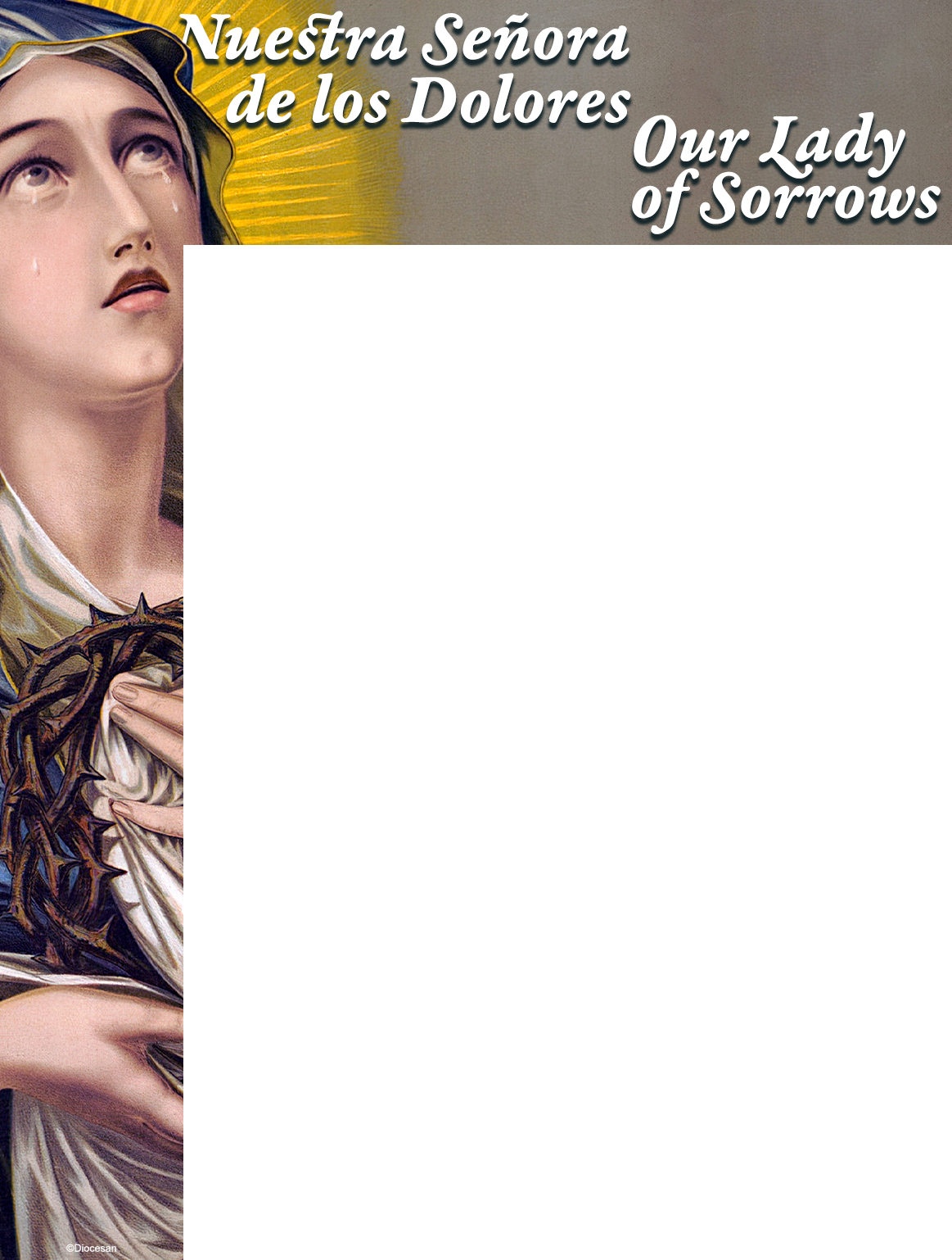 26667_ef3f240f64e6684c3c683913cd66cd5b