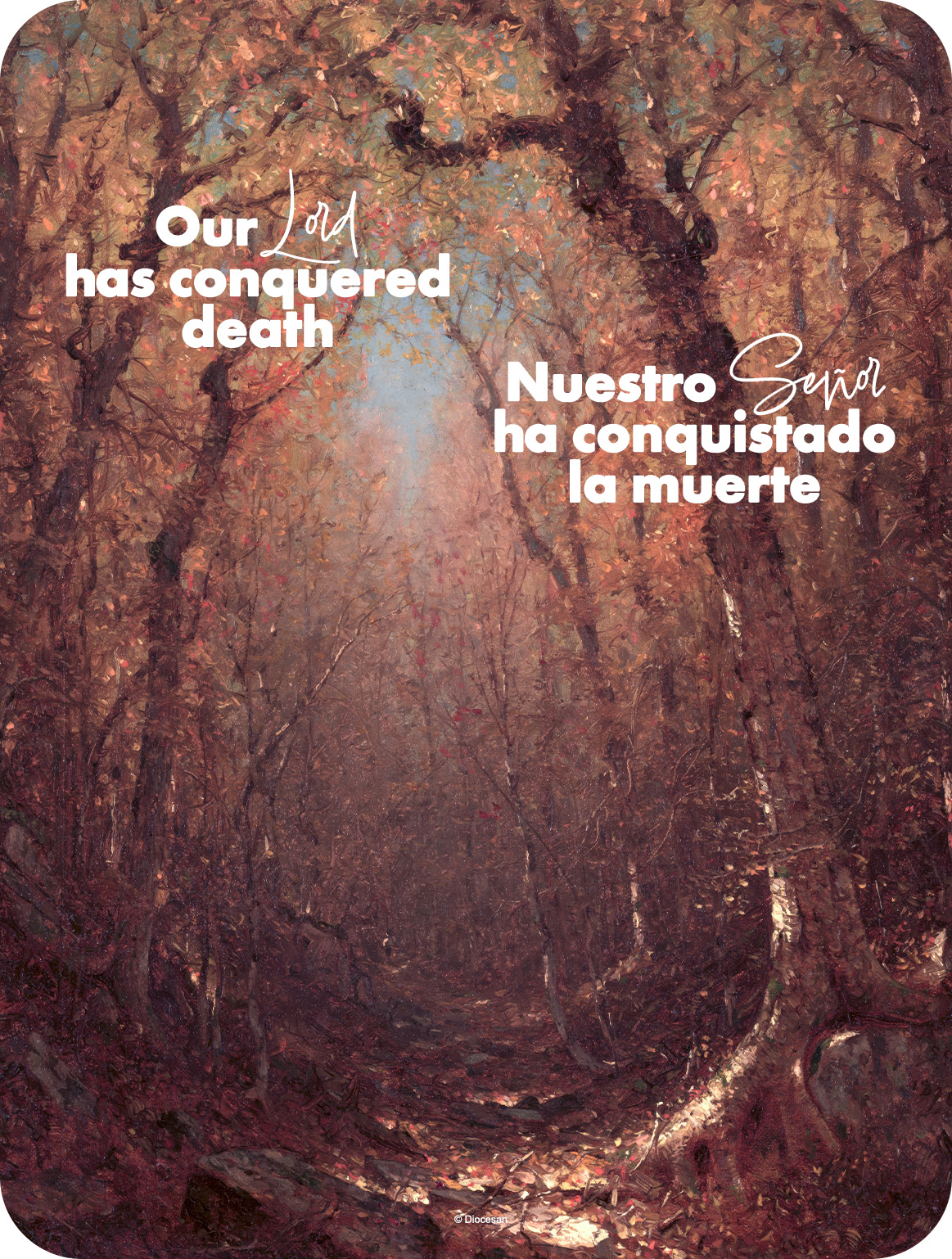 27037_6f558601f52b98063e398e32101abf9b