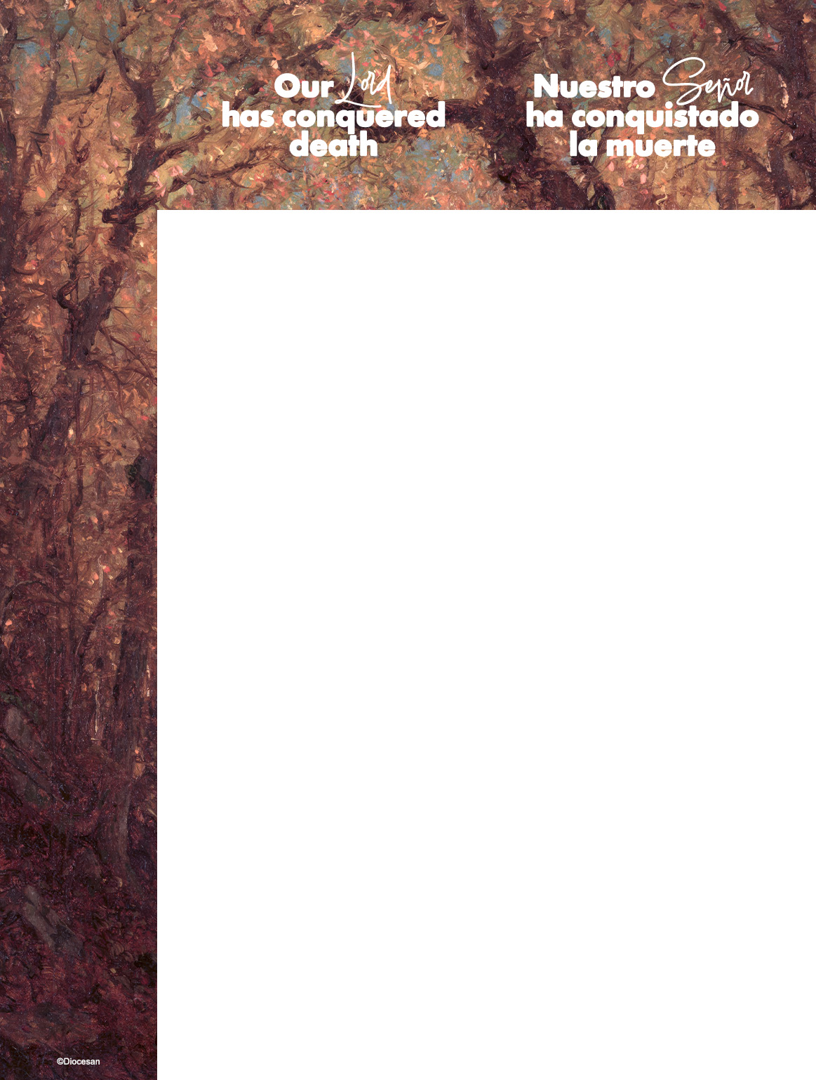 27040_234c3888805a98e6ea7c865fc31b327a