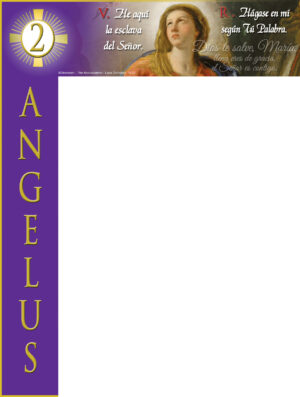 Advent - Angelus - Spanish Wrapper