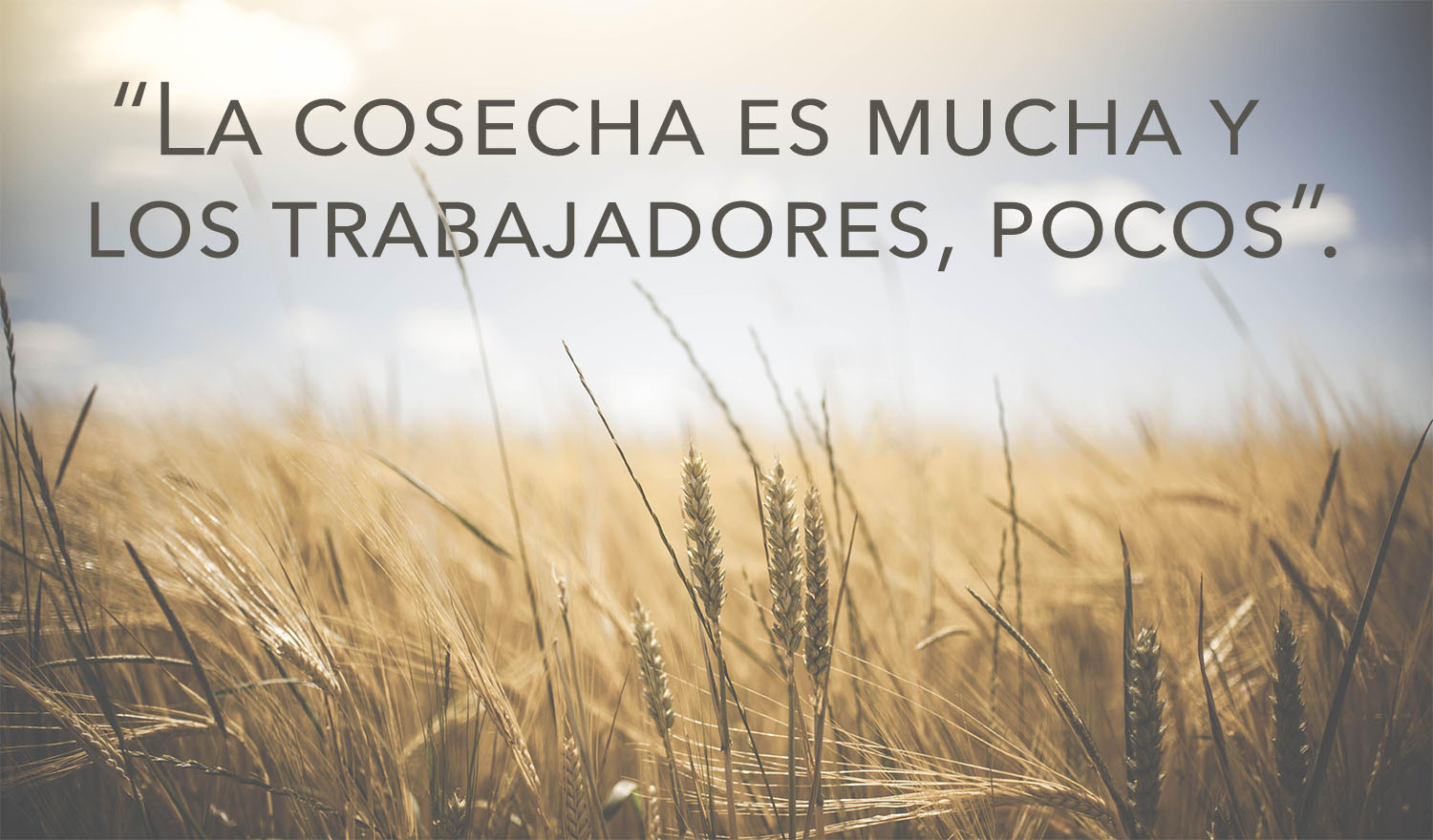 Ordinary Time - Week 11 - Gospel - Spanish