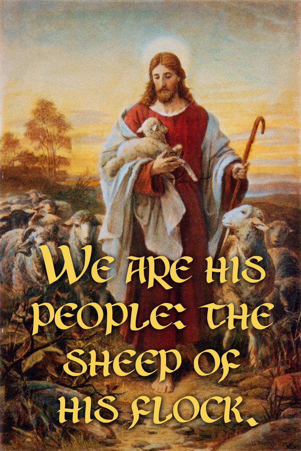 Ordinary Time - Week 11 - Response - English