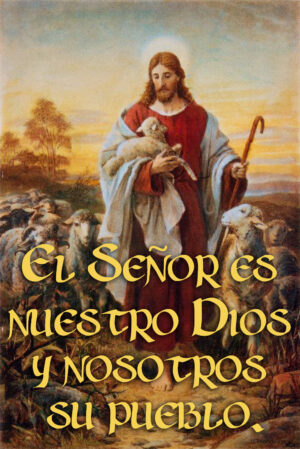 Ordinary Time - Week 11 - Response - Spanish
