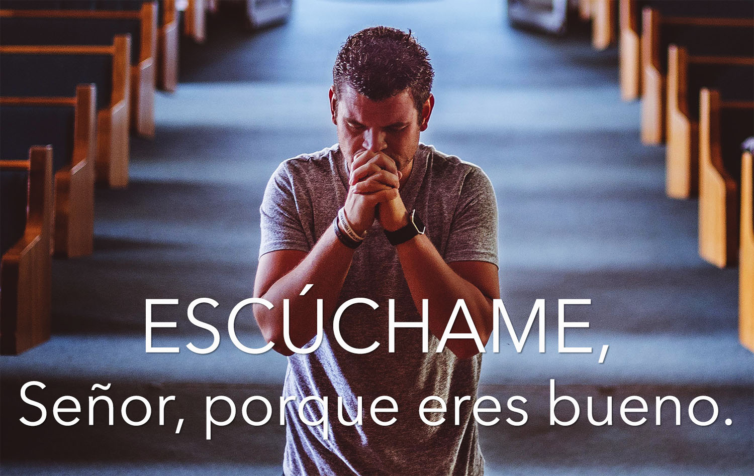 Ordinary Time - Week 12 - Response - Spanish