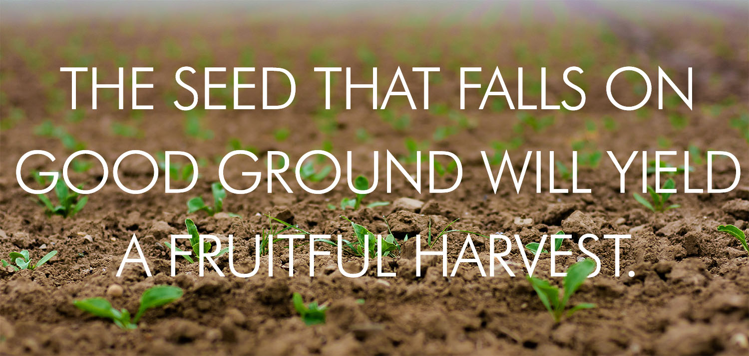 Ordinary Time - Week 15 - Response - English 1 Ordinary Time - Week 15 - Response - English