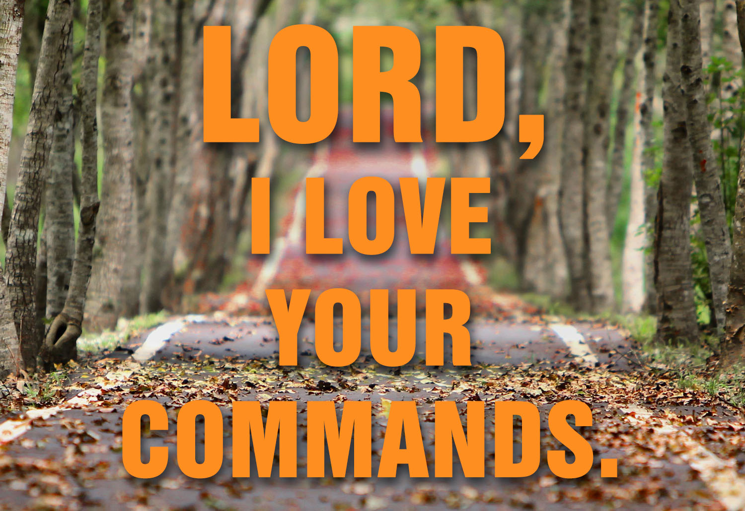 Ordinary Time - Week 17 - Response - English 1 Ordinary Time - Week 17 - Response - English