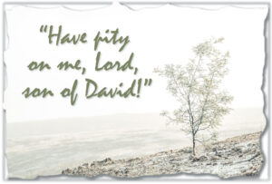 Ordinary Time - Week 20 - Gospel - English