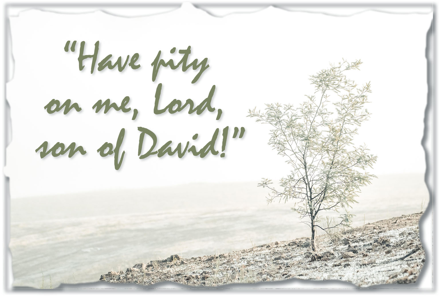 Ordinary Time - Week 20 - Gospel - English