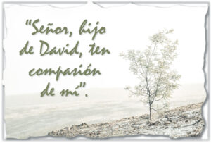 Ordinary Time - Week 20 - Gospel - Spanish