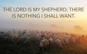 All Souls - Response - English