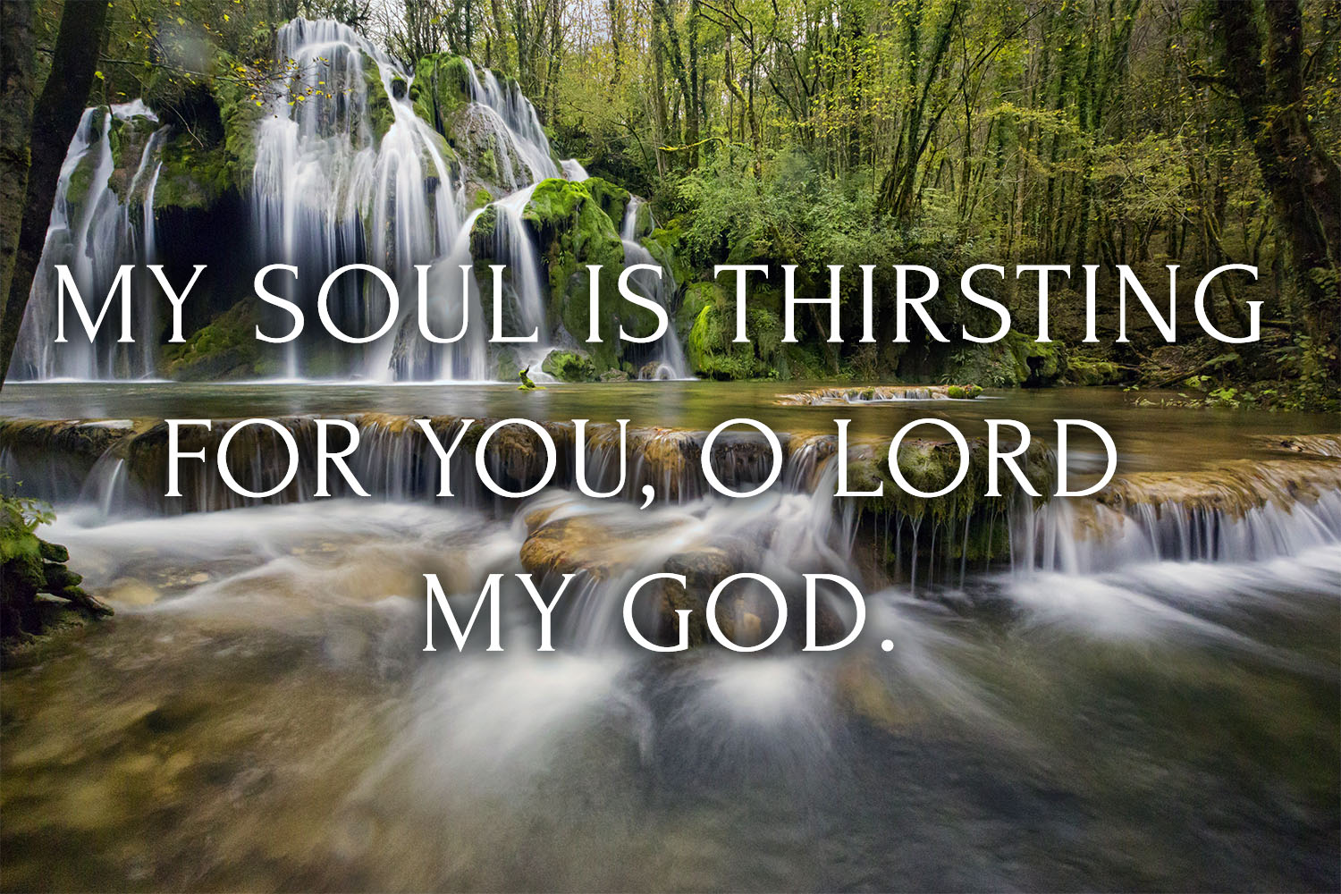 Ordinary Time - Week 32 - Response - English