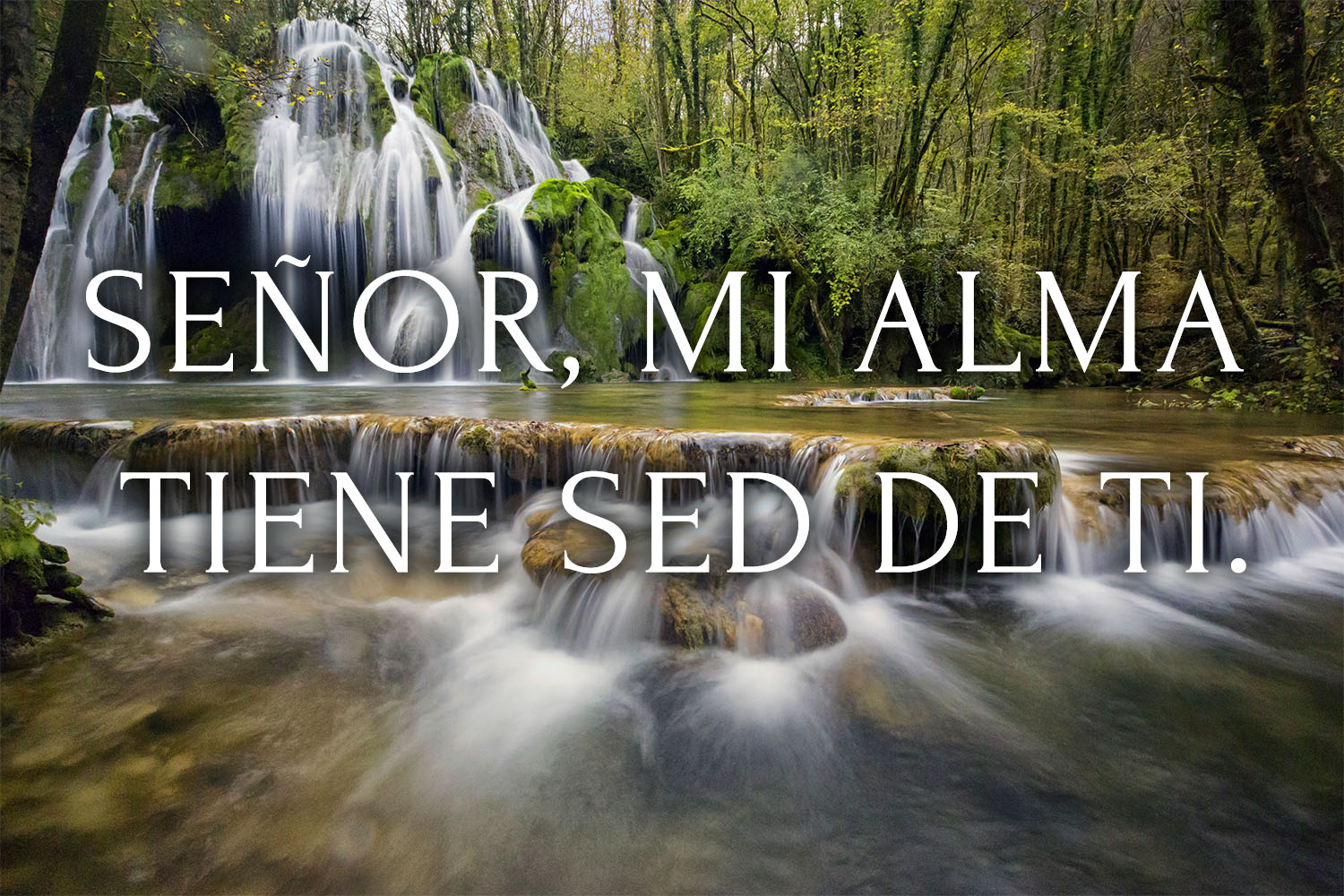 Ordinary Time - Week 32 - Response - Spanish