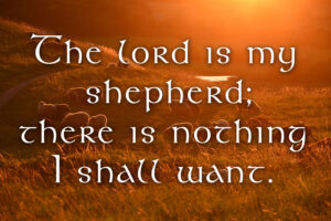 Christ the King - Response - English