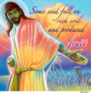 Ordinary Time - Week 15 - English