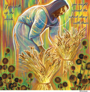 Ordinary Time - Week 16 - English