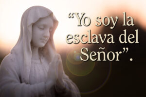 Our Lady of Guadalupe - Gospel - Spanish