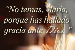 Advent - Week 4 - Gospel - Spanish