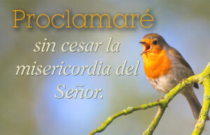 Advent - Week 4 - Response - Spanish