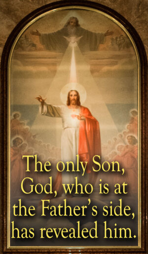 Nativity - Day - Gospel - English