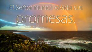 Holy Family - Response - Spanish - V2