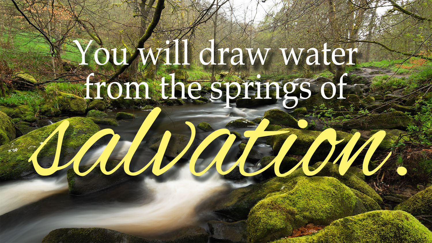 Baptism of the Lord - Response - English - V2