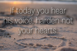 Ordinary Time - Week 4 - Response - English